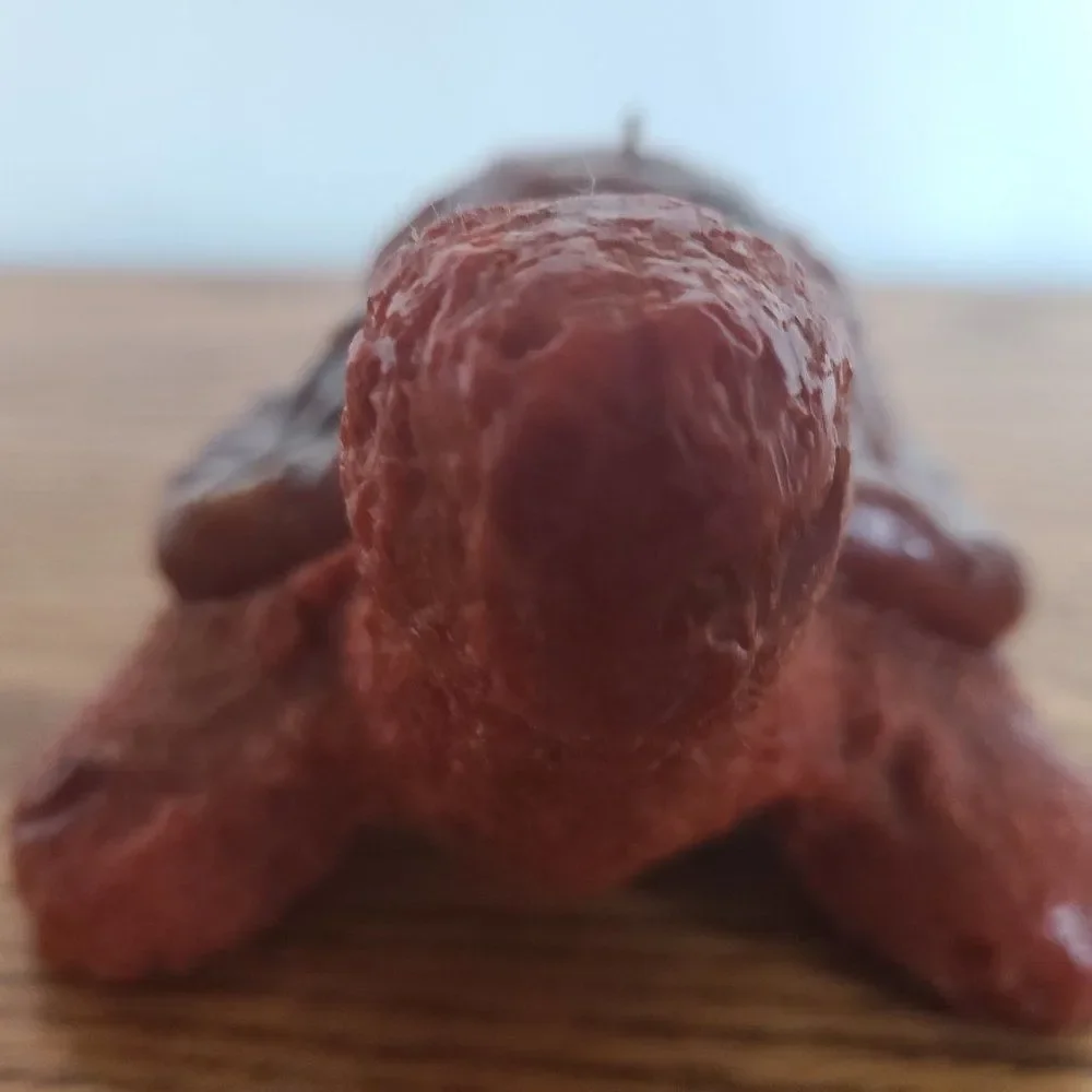 Vintage Novelty Turtle Wax Candle - RED TURTLE - Vintage Rare UNIQUE